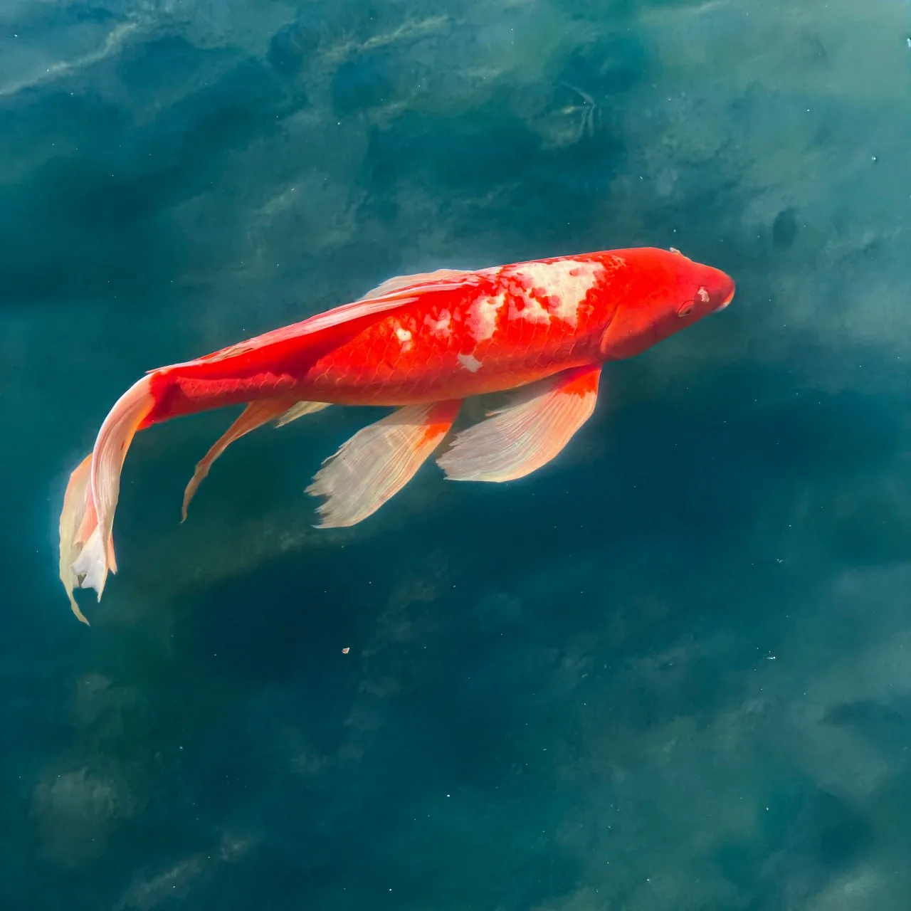 Фото тура: Токио. Первый день