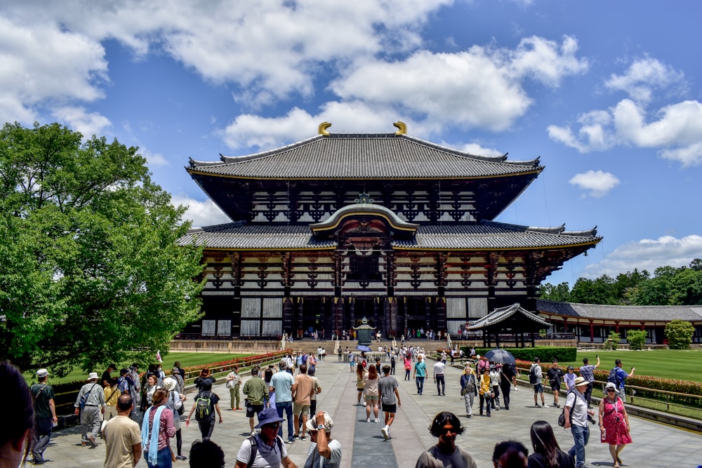 Фото тура: Нара